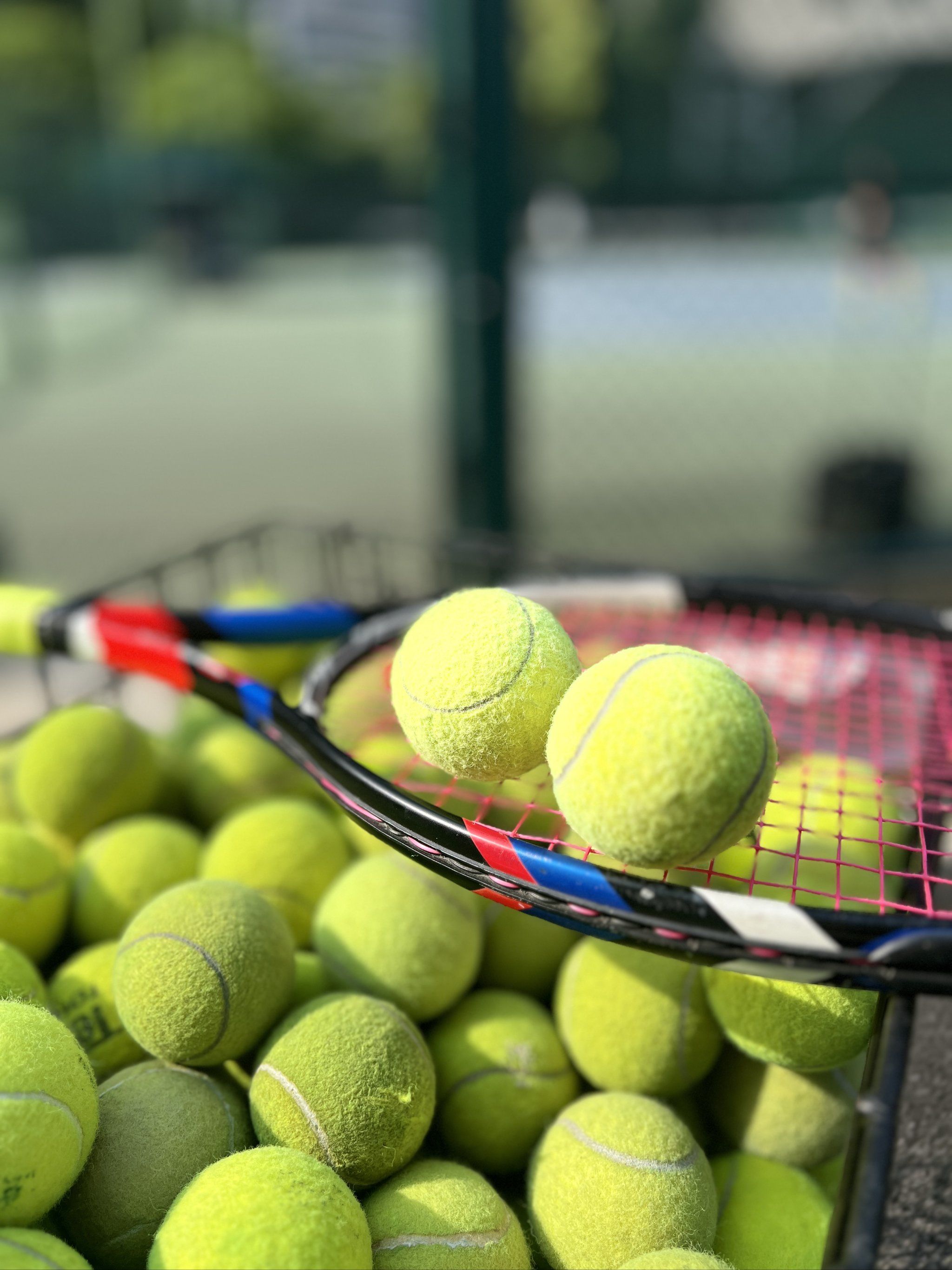 擎中排名更 擎中排名更